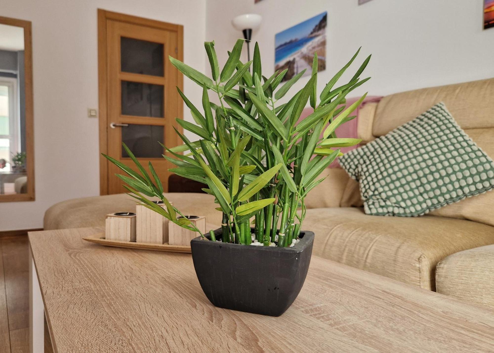 Apartamento Playa Bouzas - Vigo - Parking Free Eksteriør bilde